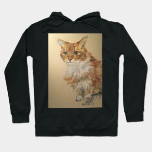 Ginger scruffy tabby cat Hoodie